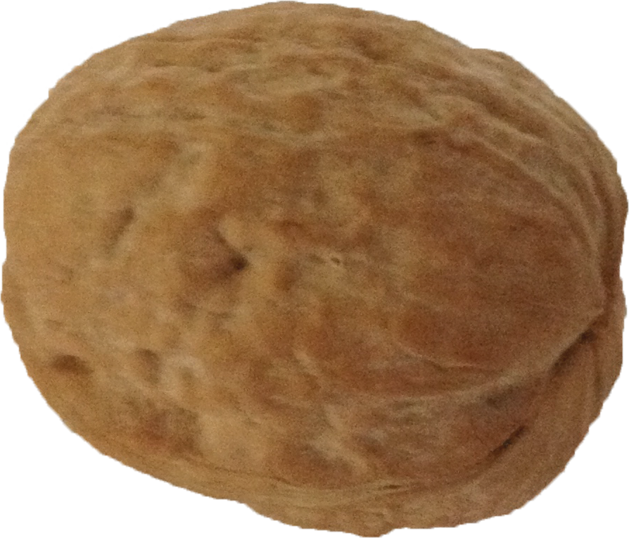 Walnut.png