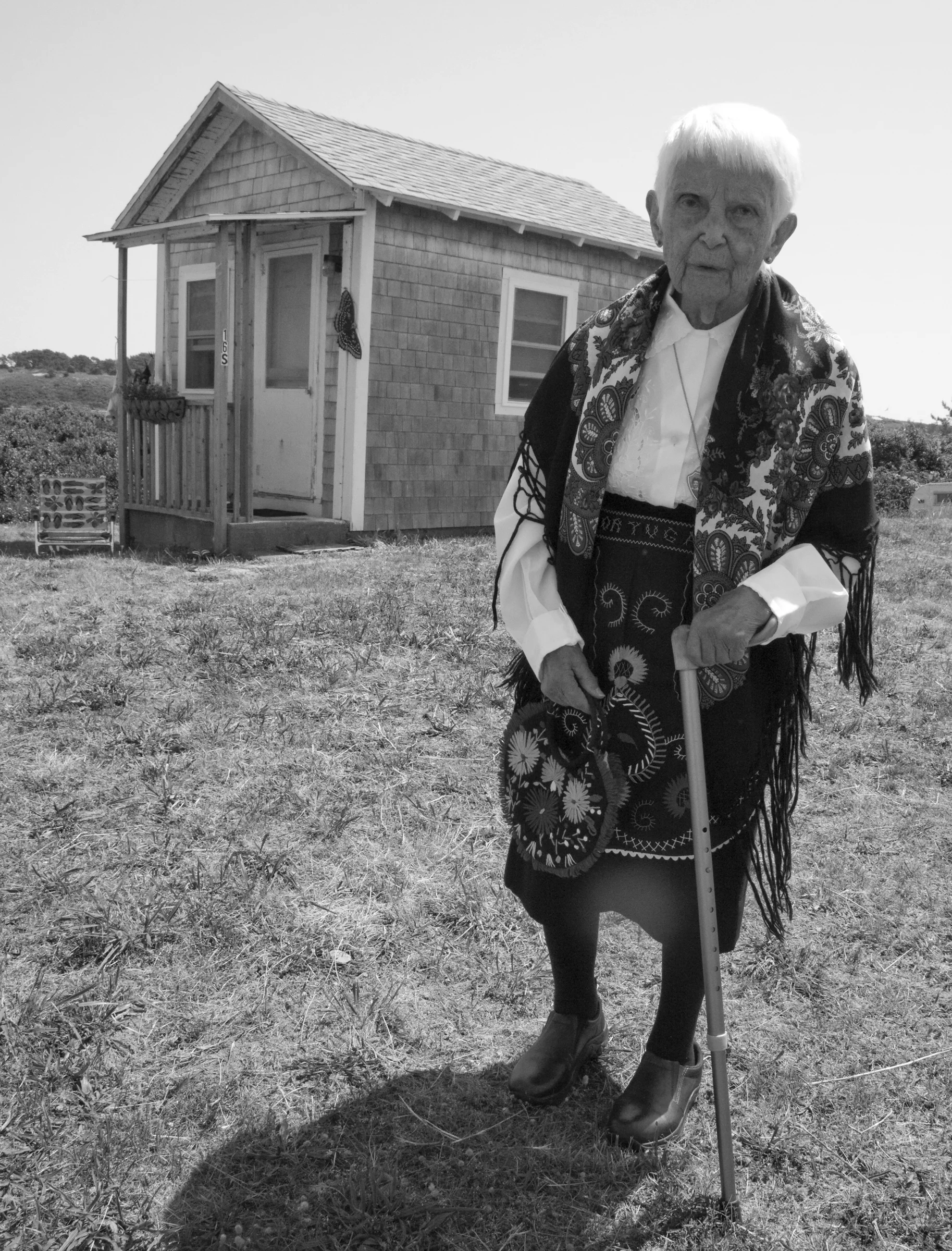 Mark Chester's The Bay State: A Multicultural Landscape at the Skywalk