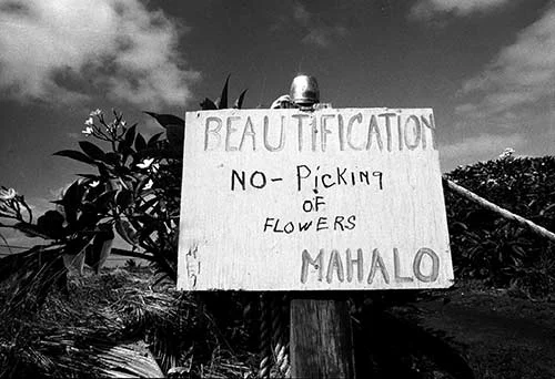 No.4 No Picking of the Flowers, HI