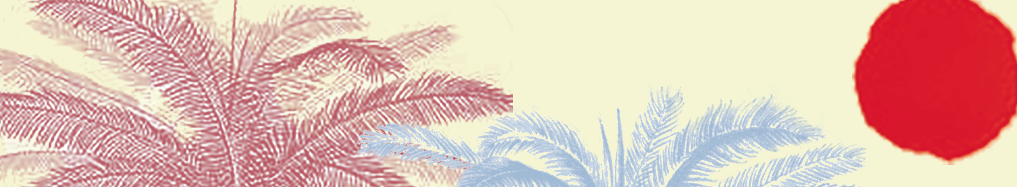 Palms & Sun Header.png