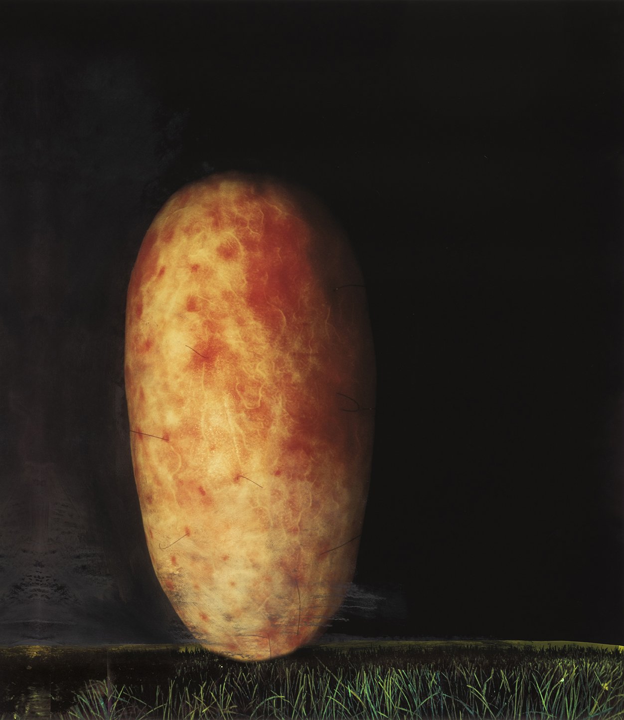 Melons C2-01A Untitled Copyright © Joan Goldin_LOW RES.jpg