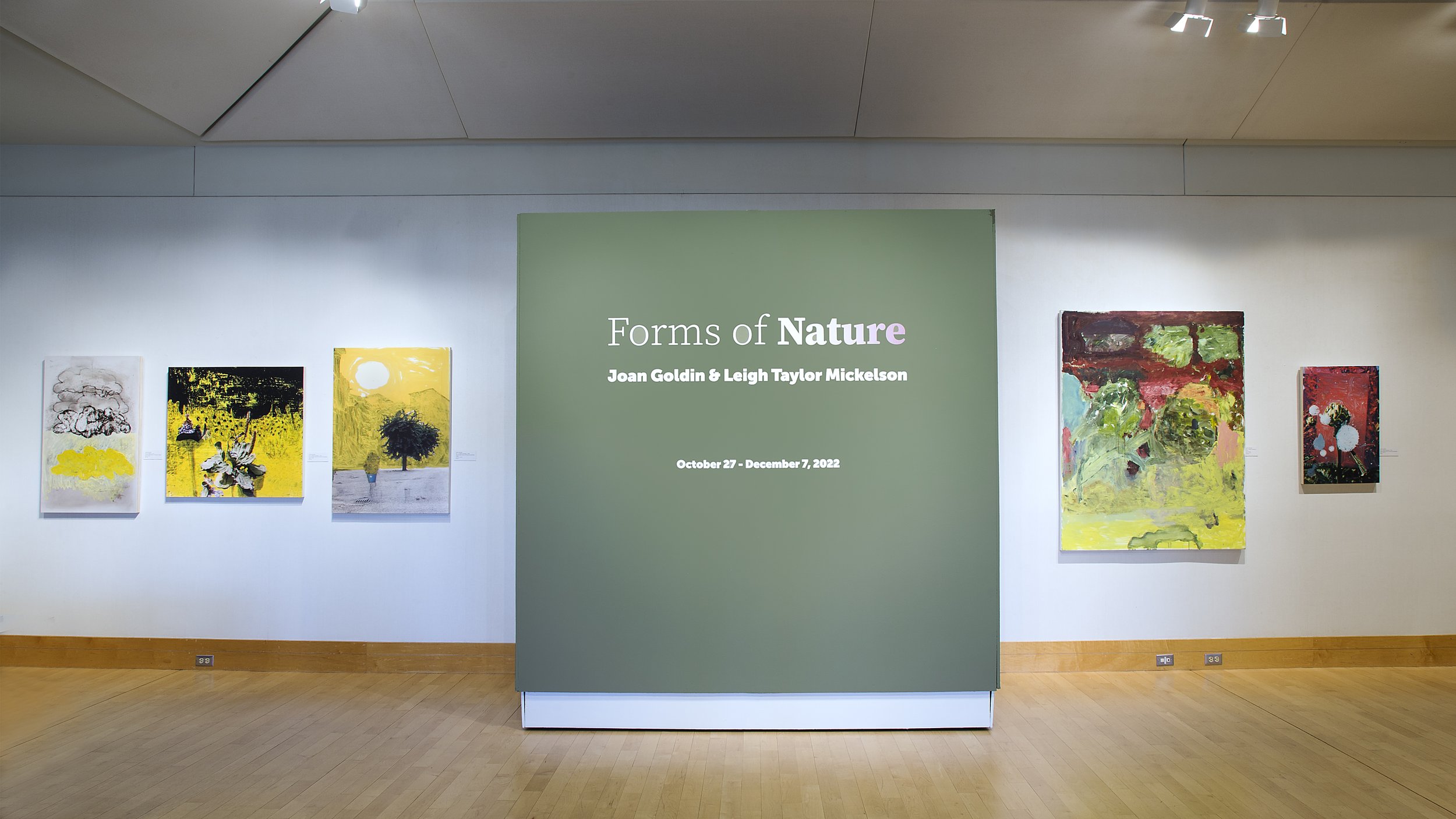 Flinn Gallery Forms of Nature Joan Goldin © Patrick Vingo.jpg