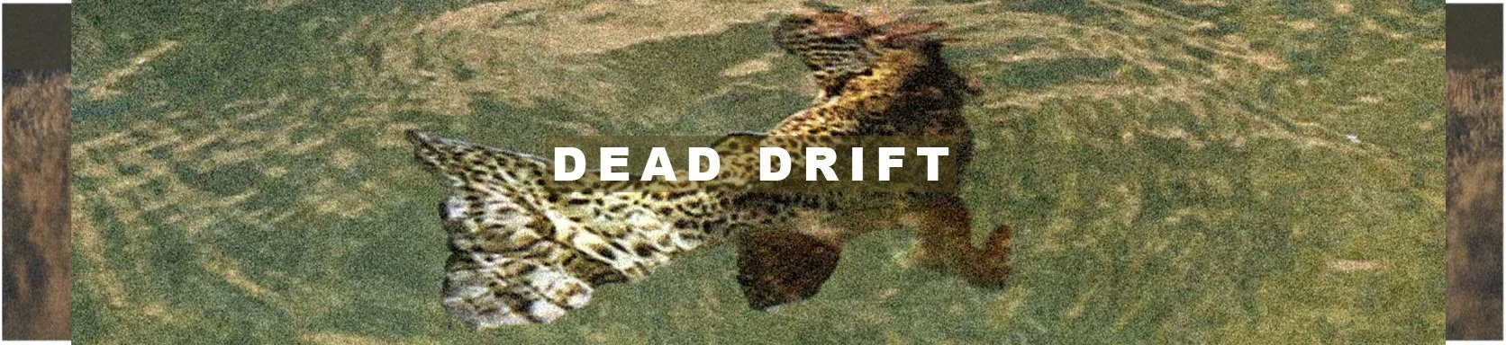 DEAD DRIFT.6.jpg