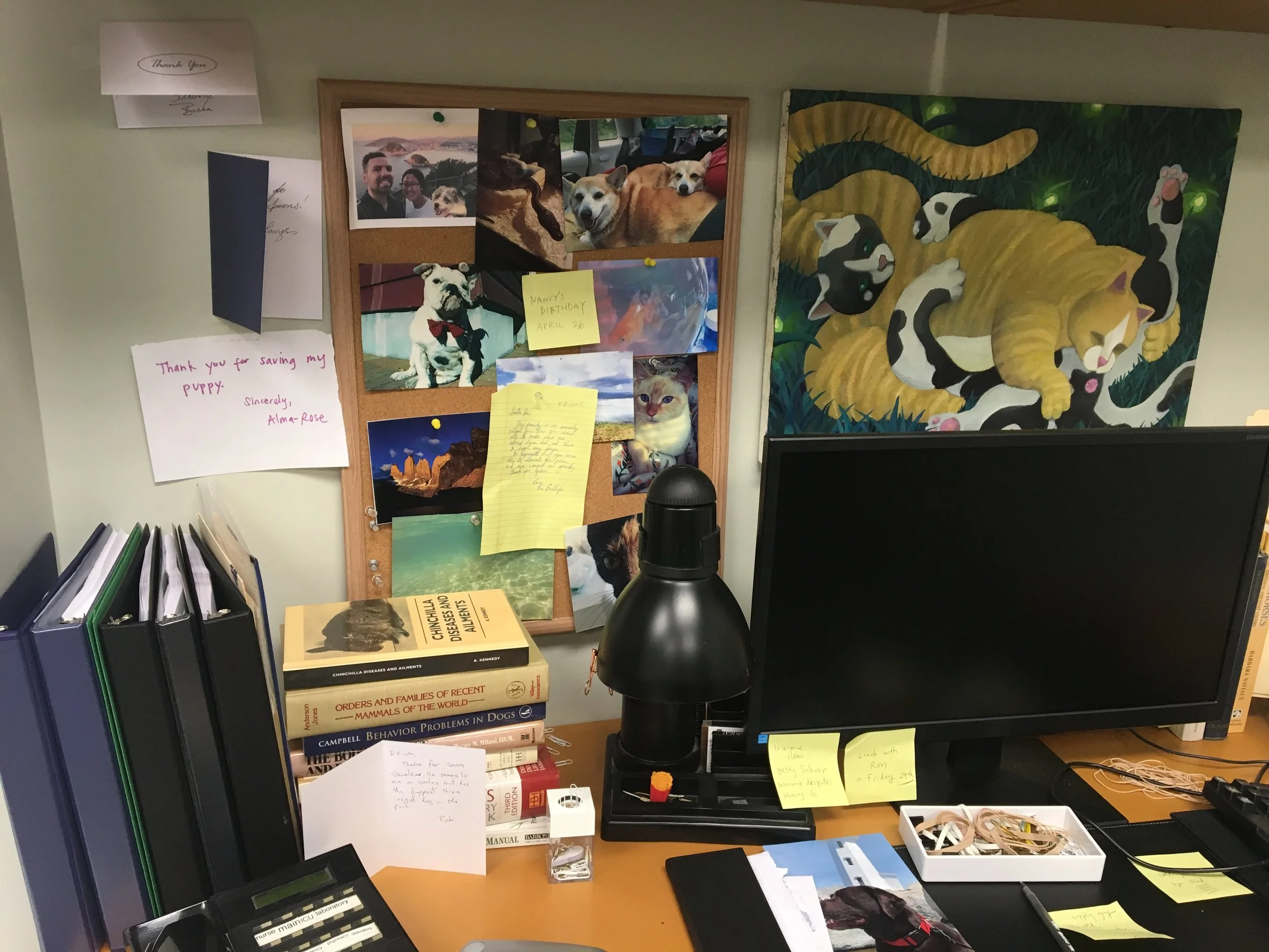 Vet Office Build.jpg