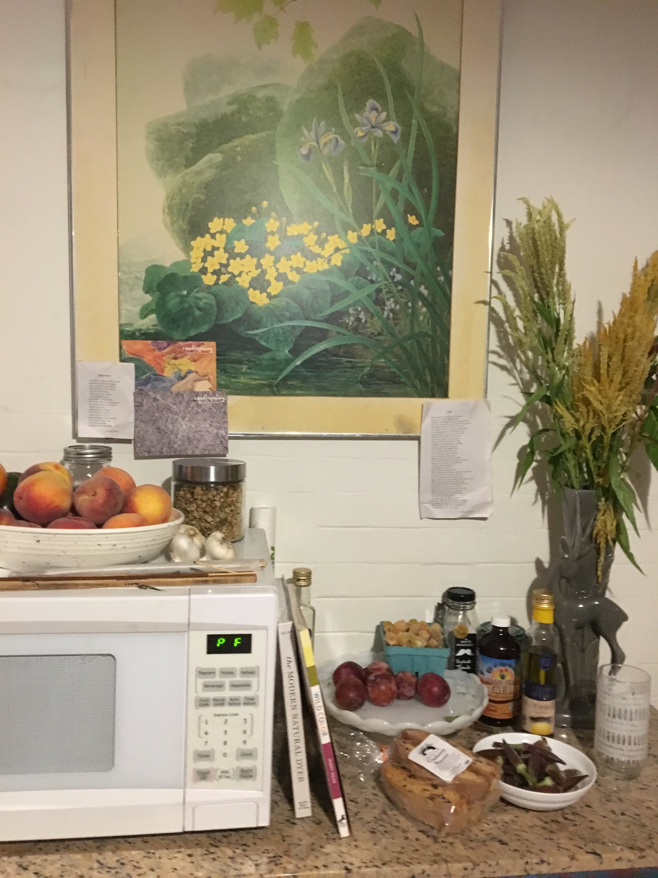 Lee's Microwave Closeup.jpg