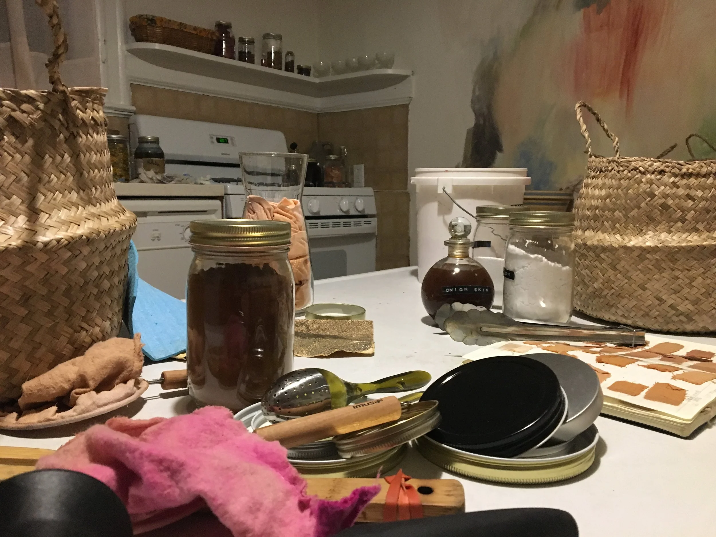 Lee's Natural Dye-er.jpg