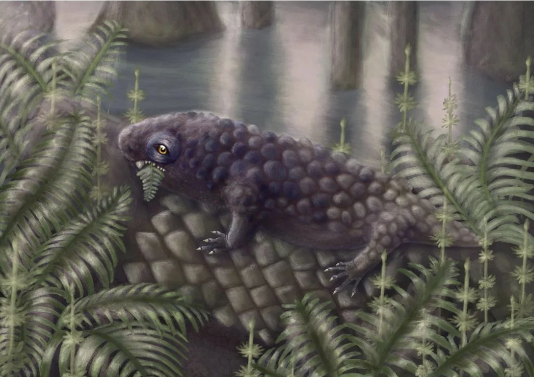 Art of the plant-eater Tyrannoroter, a bumpy-looking lizard on a scaly tree, eating fern-like plants.