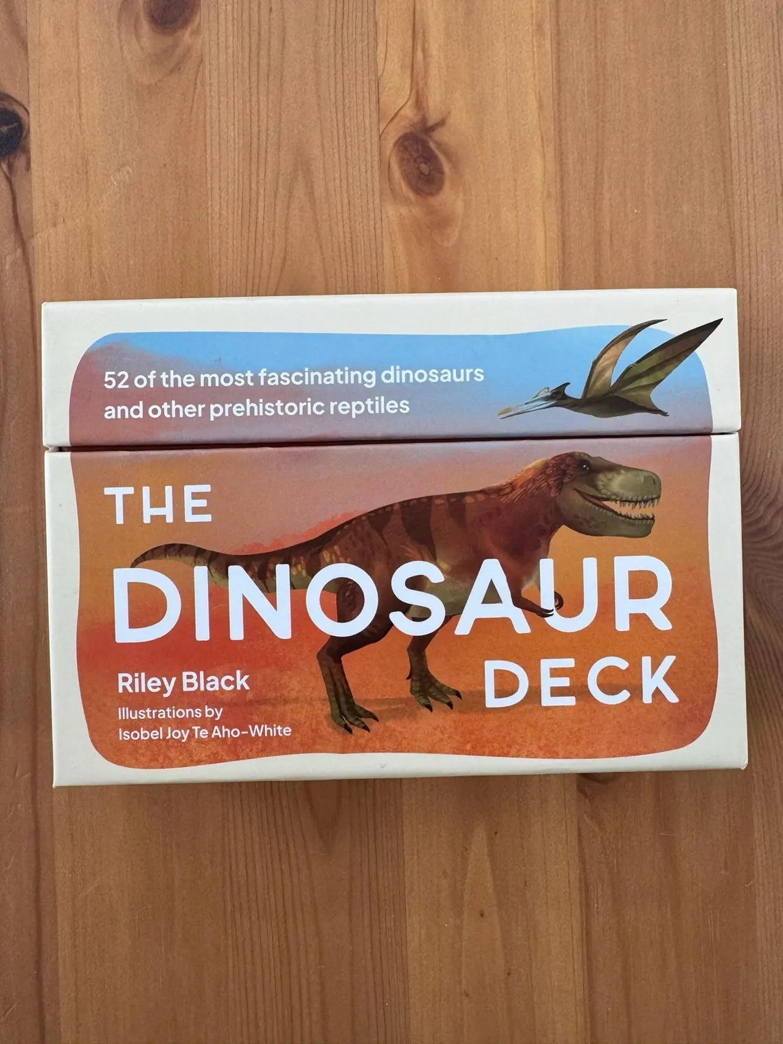 dinodeck1.jpg