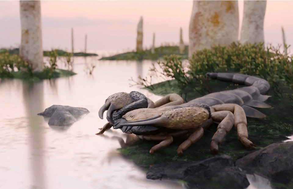Art of a giant early scorpion on the shores of a strange ancient world, full of water-loving plants.