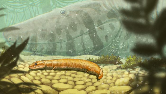 Art of a small, newt-like amphibian with a larger, alligator-like adult in the background.