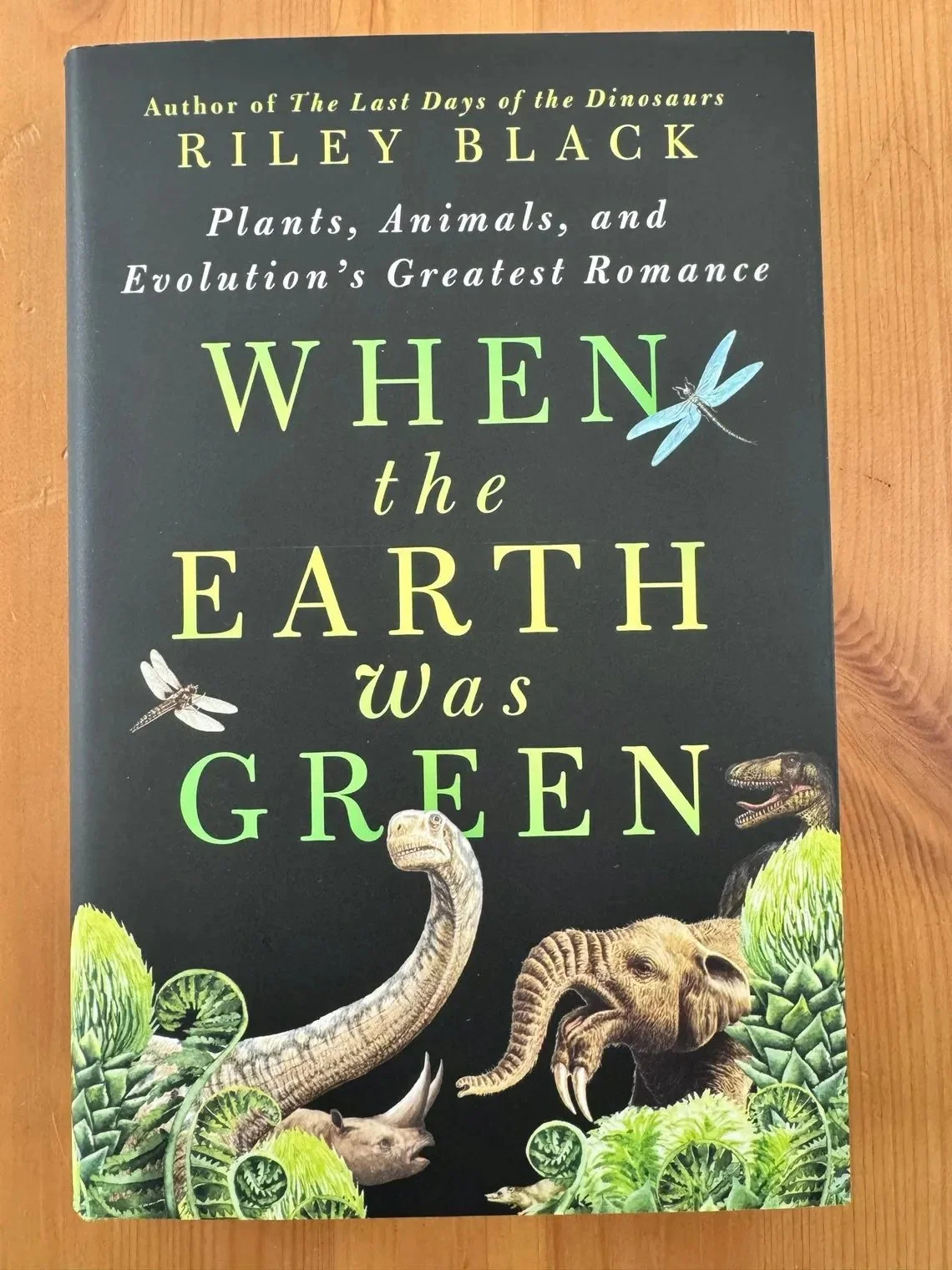 greenfront1.jpg