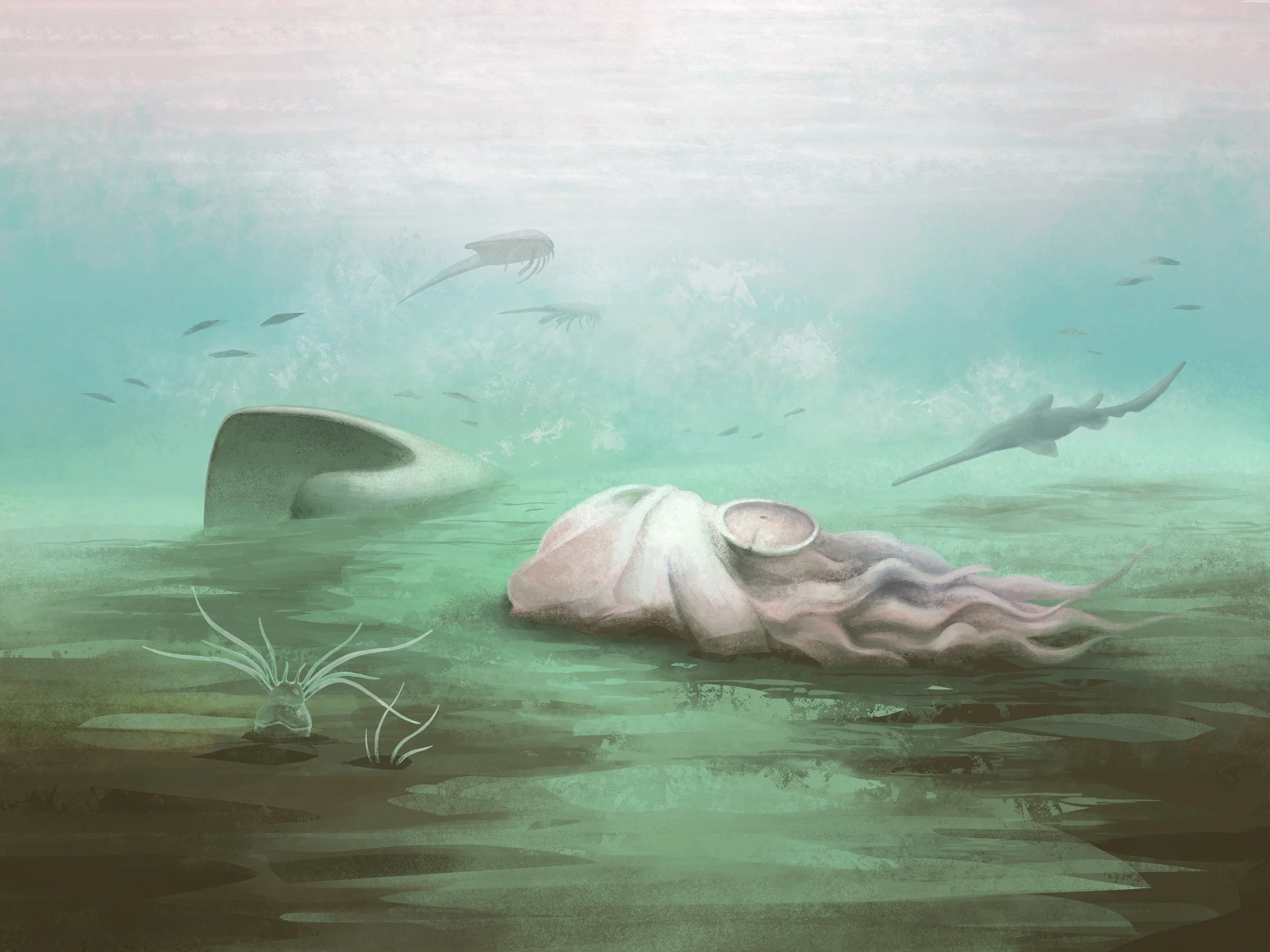 Art by Franz Anthony of a decaying ancient cephalopod that has fallen out of its shell at the bottom of an ancient creek.