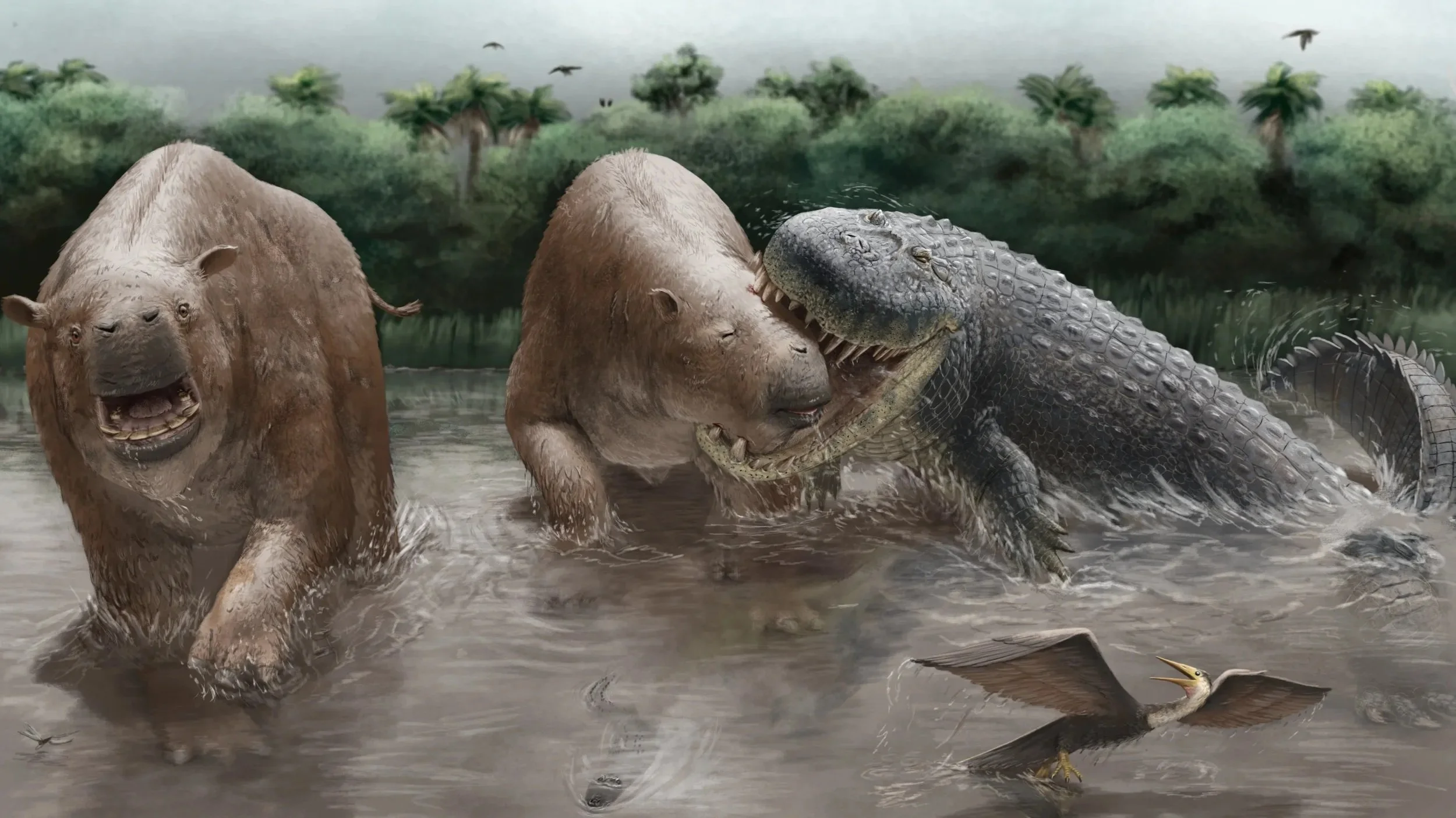 Paleoart showing a pair of large, roughly cow-like mammals in a shallow swamp. A large caiman erupts from the water to bite one on the face.