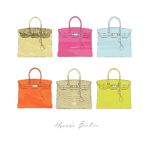 Hermes-bags-illustration.jpg