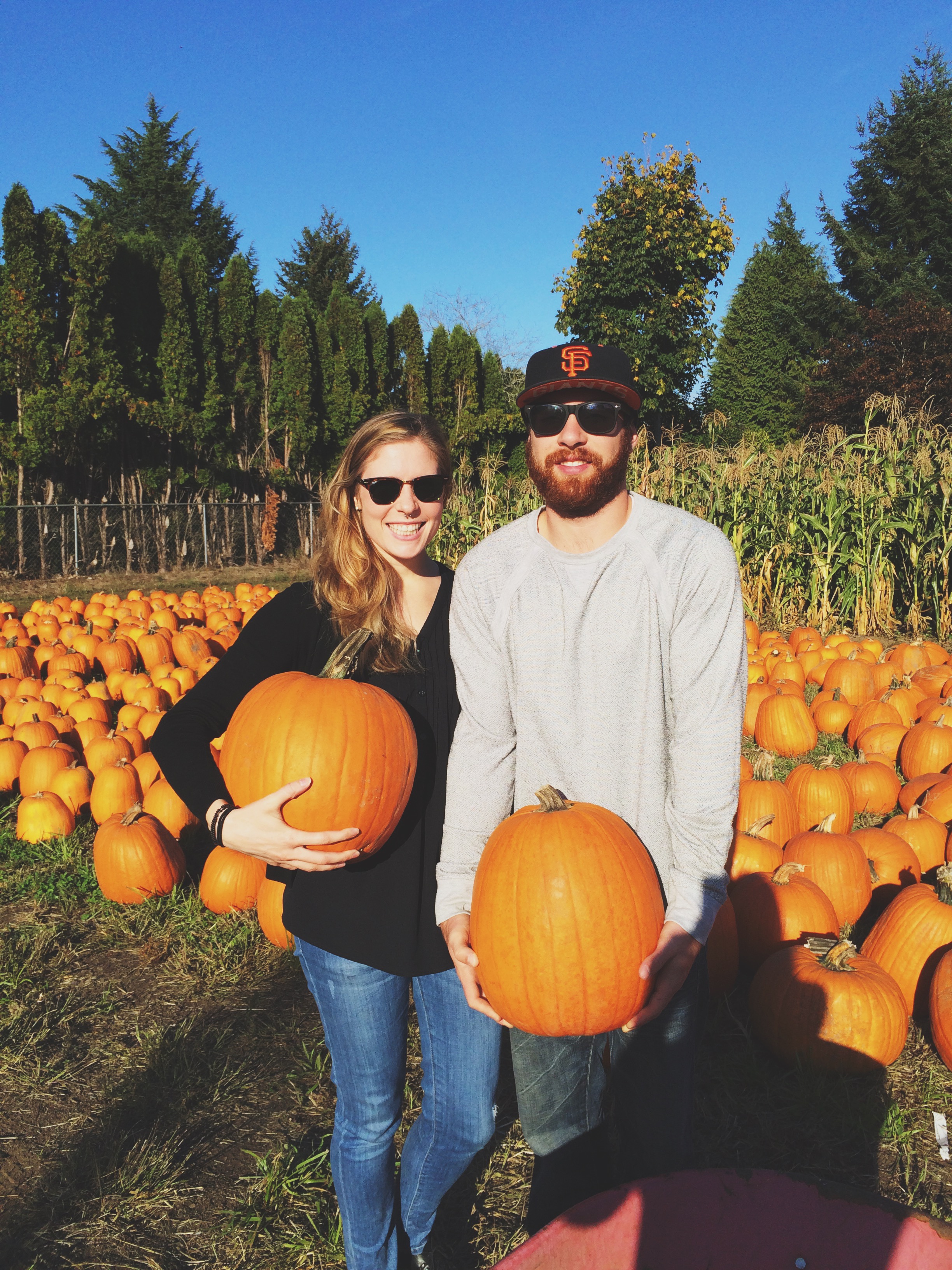 Obligatory pumpkin patch photo
