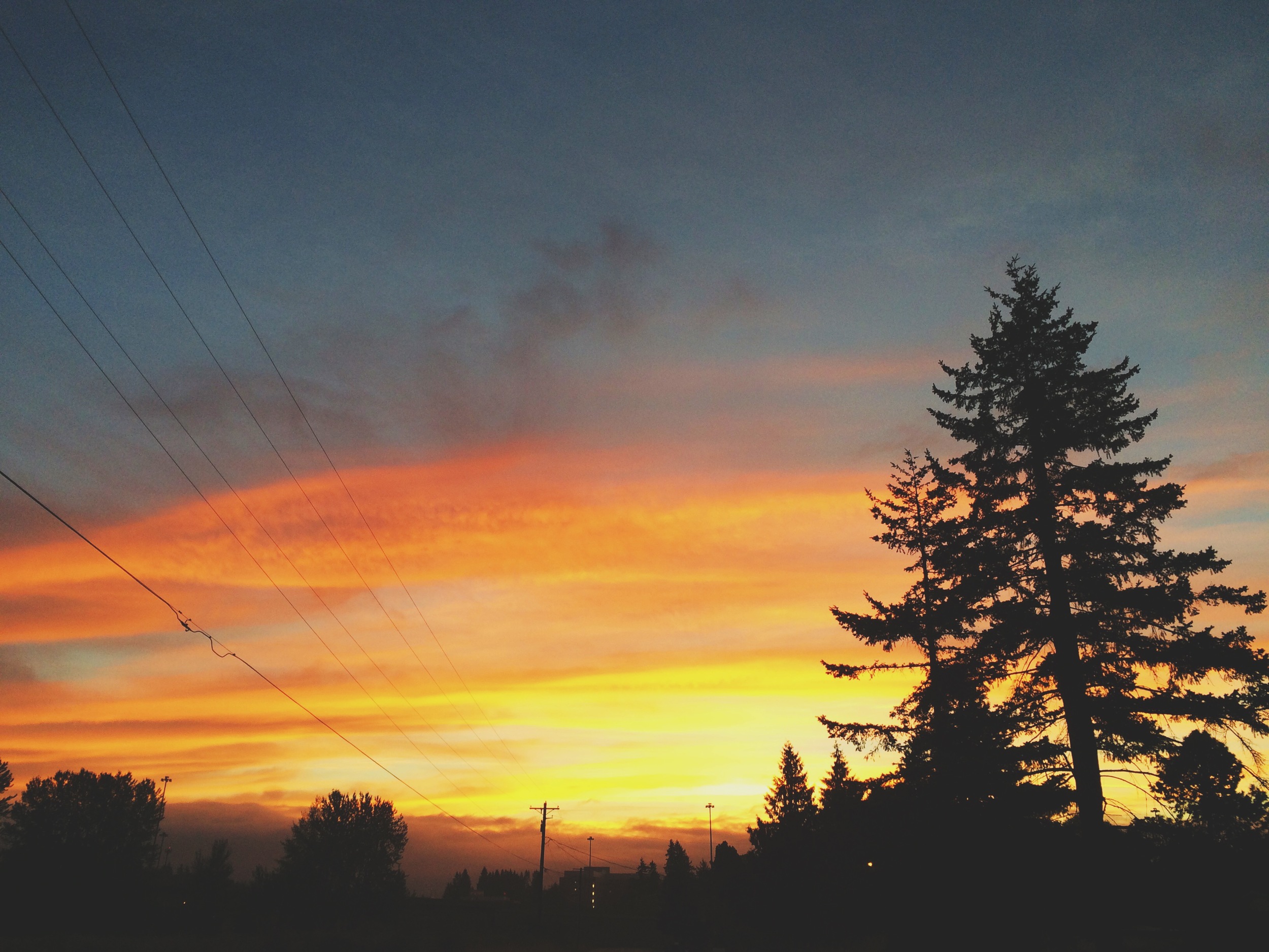 Again, another crazy sunrise in Salmon Creek, WA