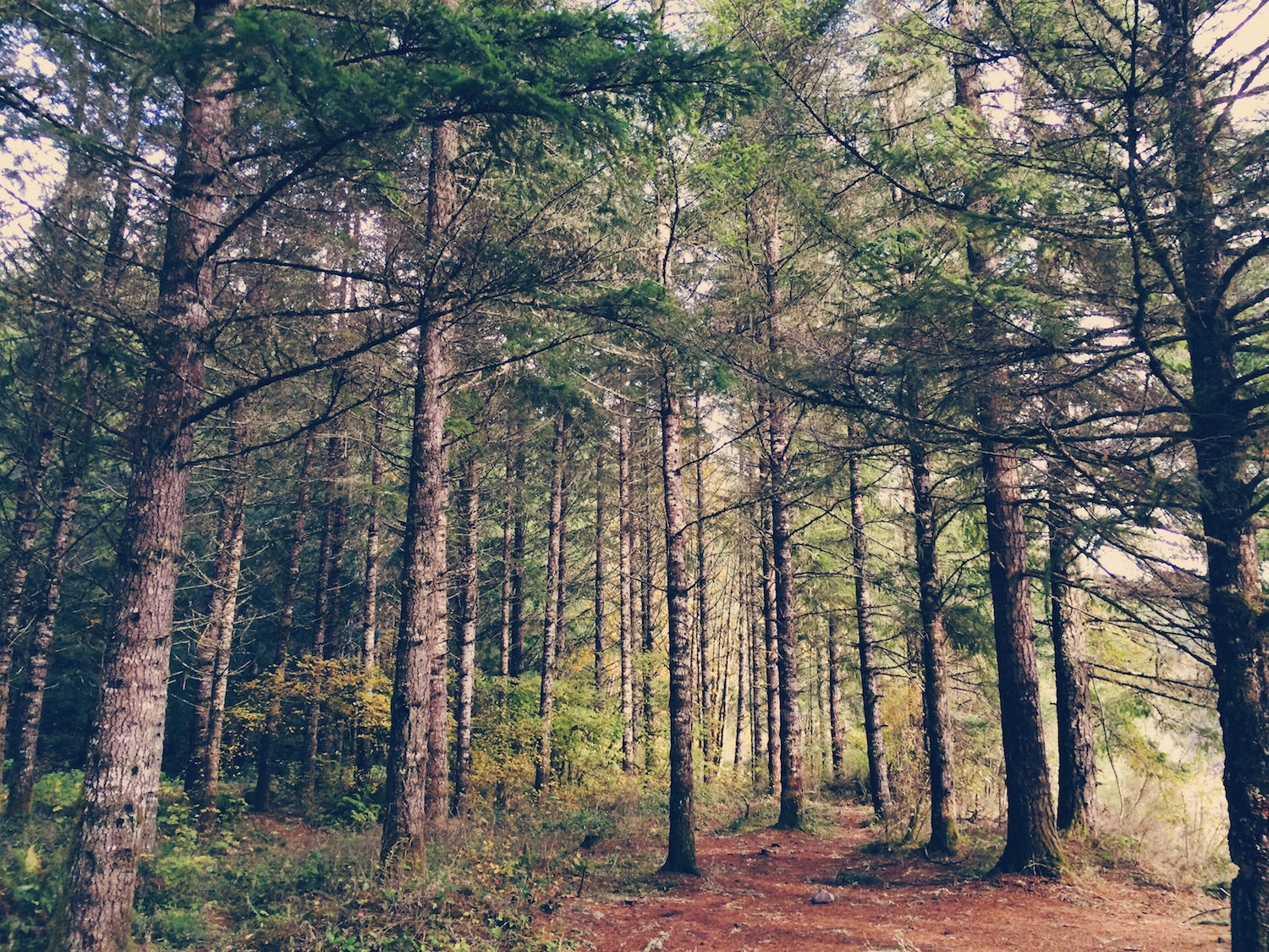 While it looks beautiful here (and it was), there were definitely tears shed and giggle fits had on this excursion!