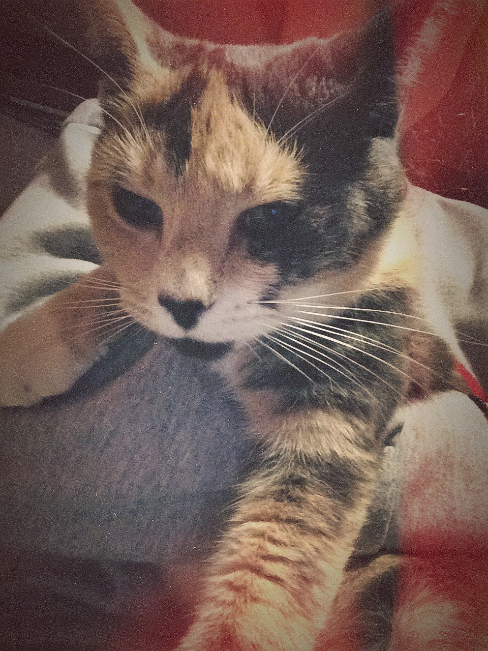 The kiki doesn't always want to be held by me, but we make it work.