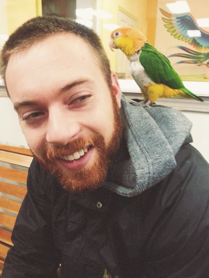 Marshy Marsh & Echo, our favorite bird from Parrot Perch