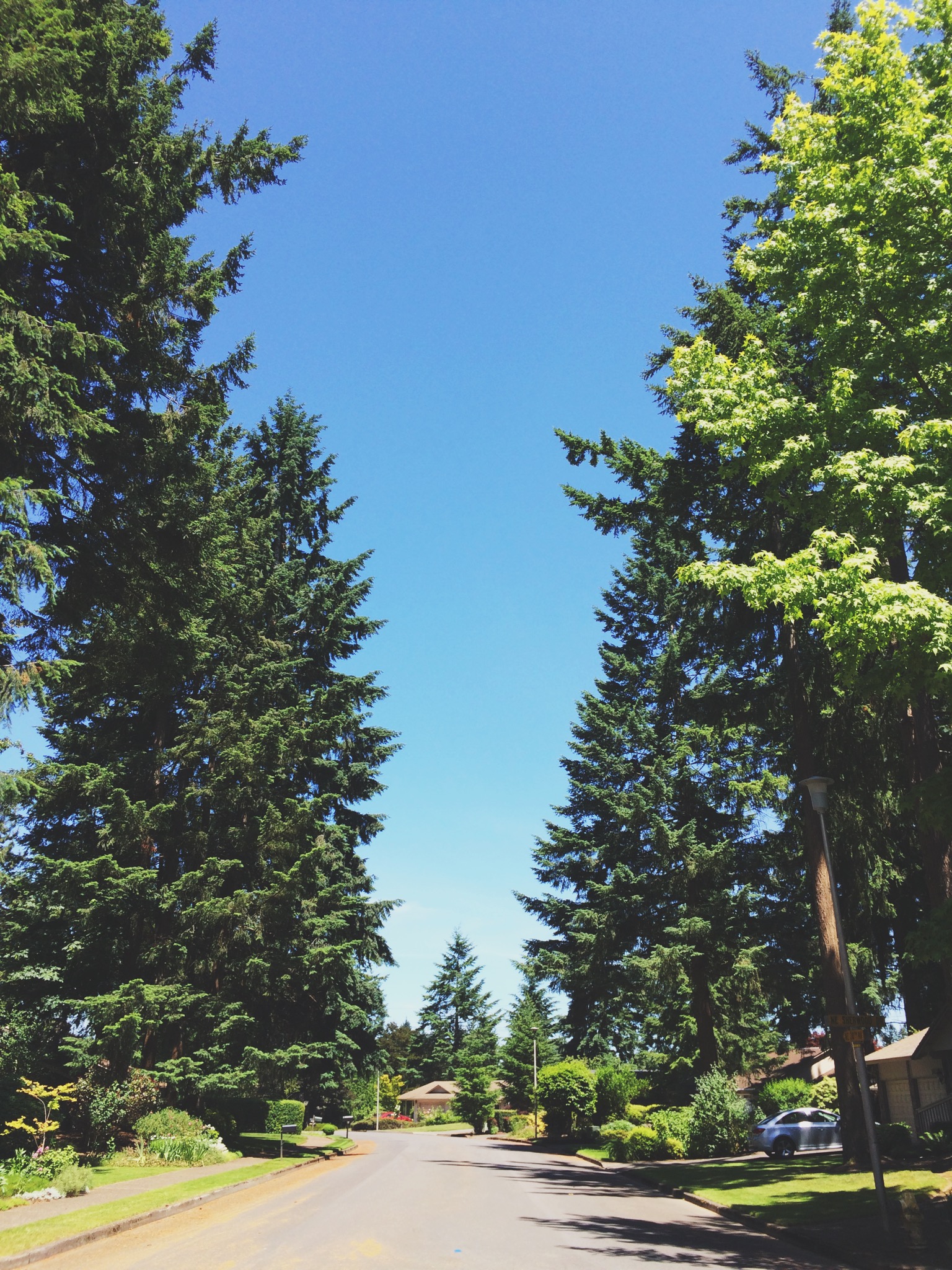 On a beautiful walk around a nearby neighborhood