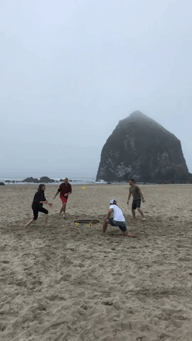 Haystack Rock Spikeball.gif
