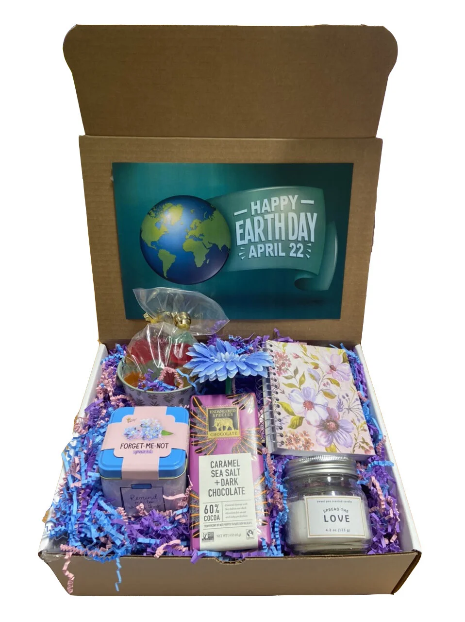 earth day kit.jpg