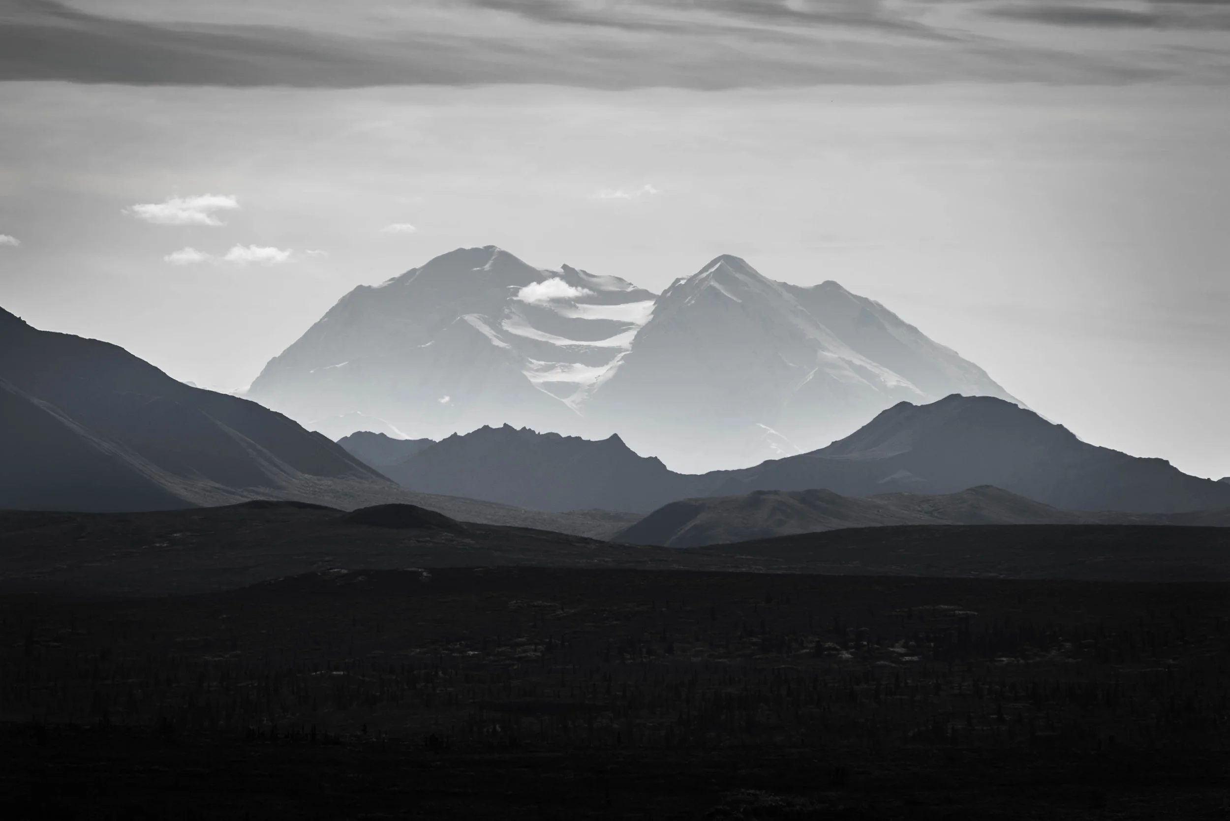 DSC_5207.jpg