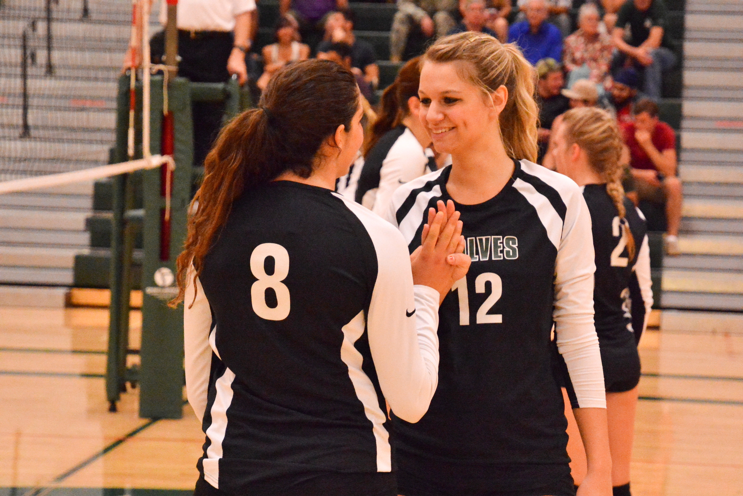 Volleyball Edit2-1293.jpg
