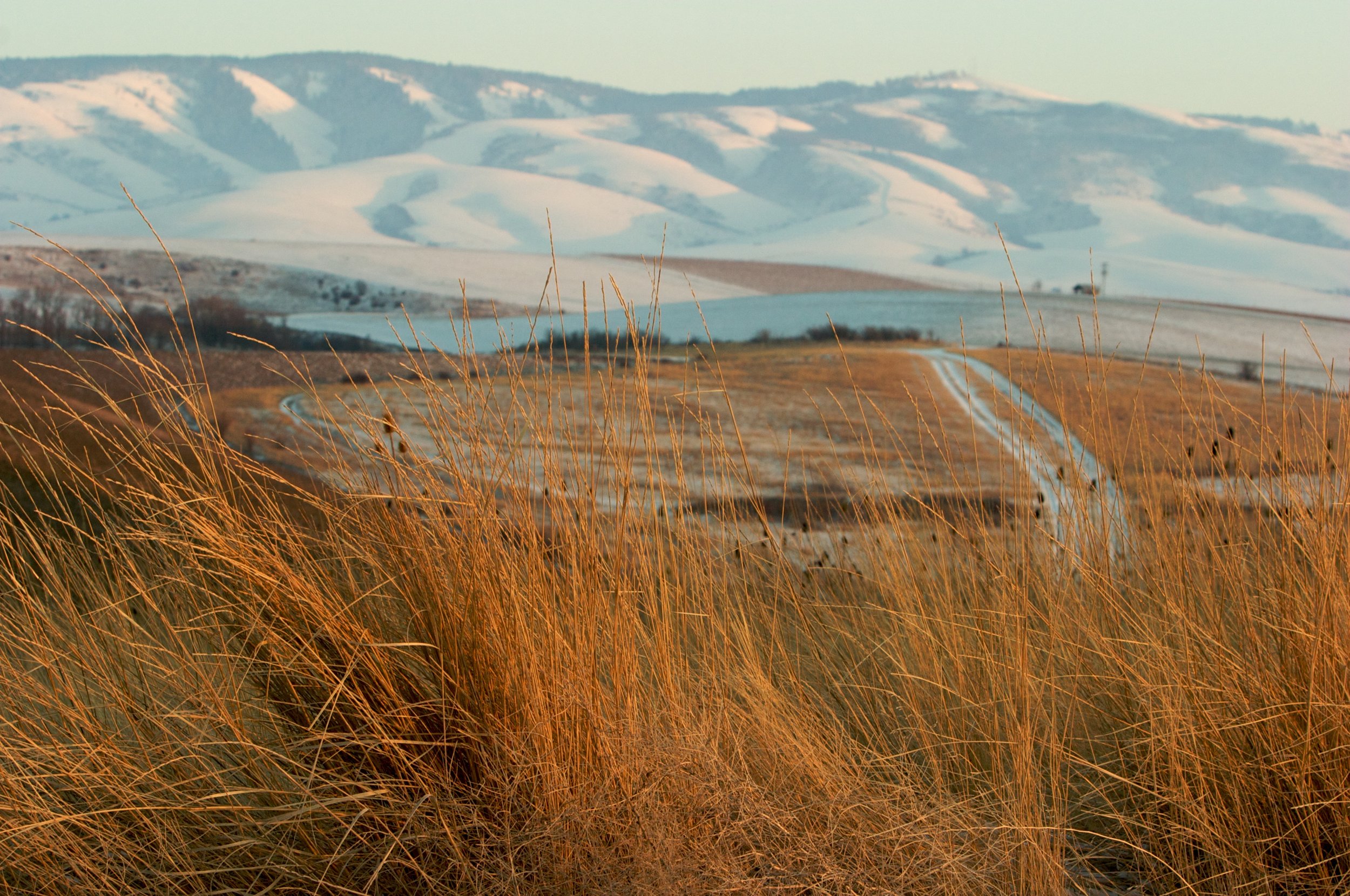 Picture credit: brian Hernandez, wwu church member