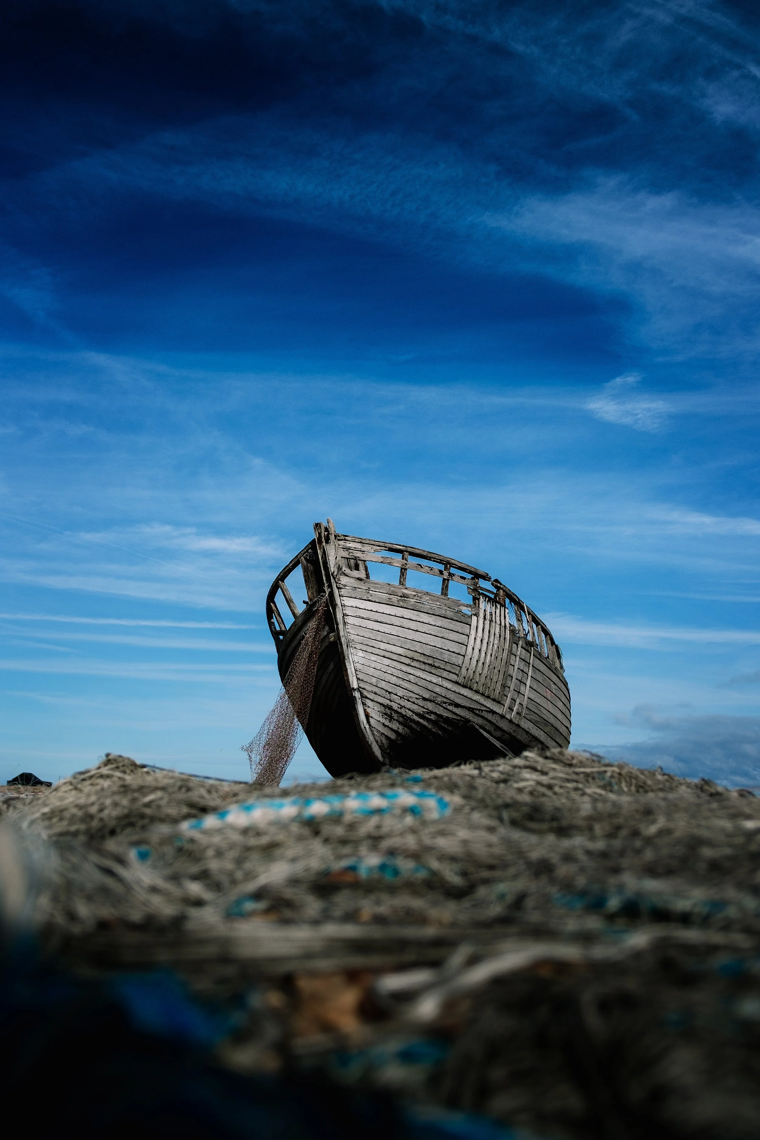photo by alexander andrews on unsplash
