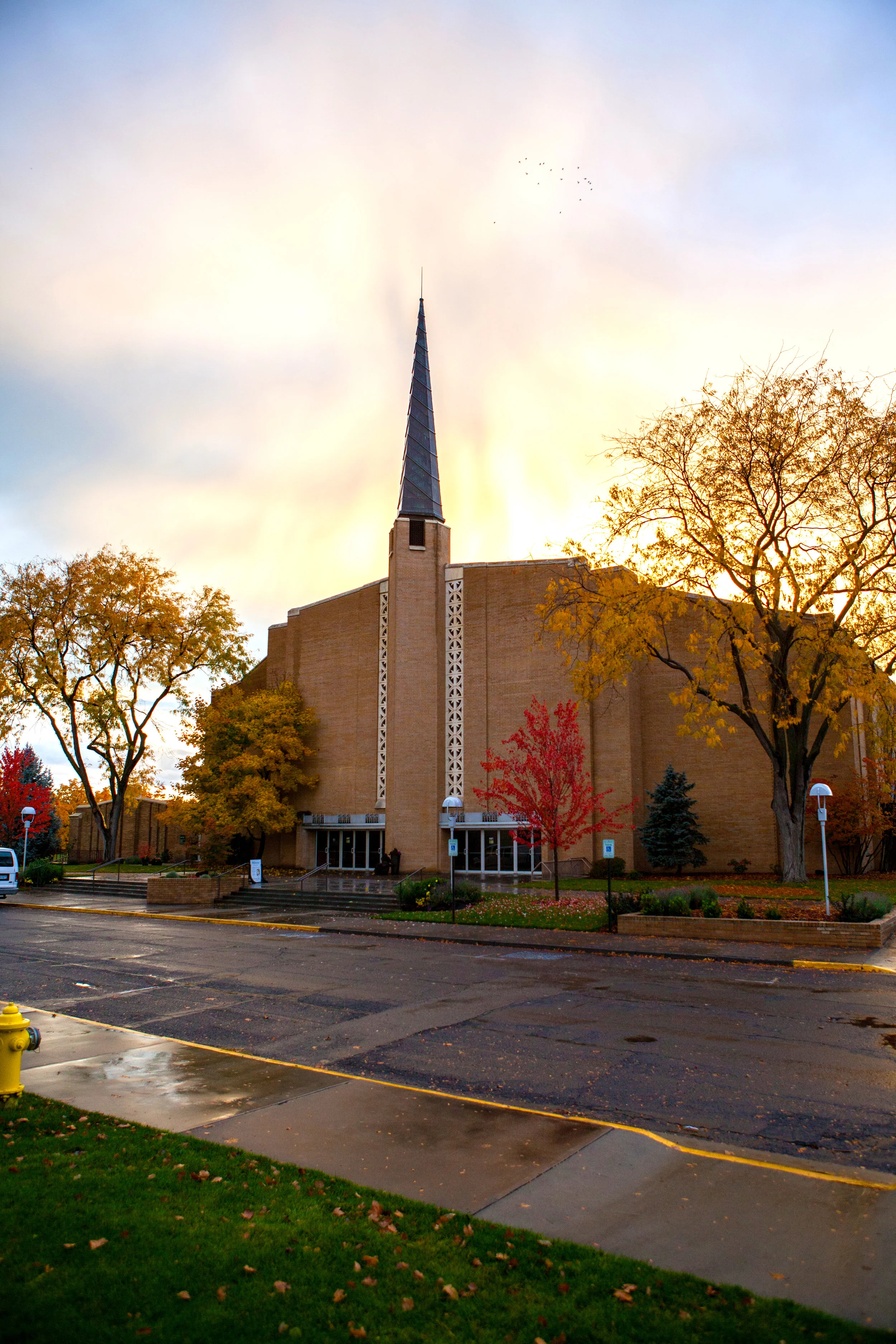 RS31849_fall-15 - Chris drake Edit.jpg