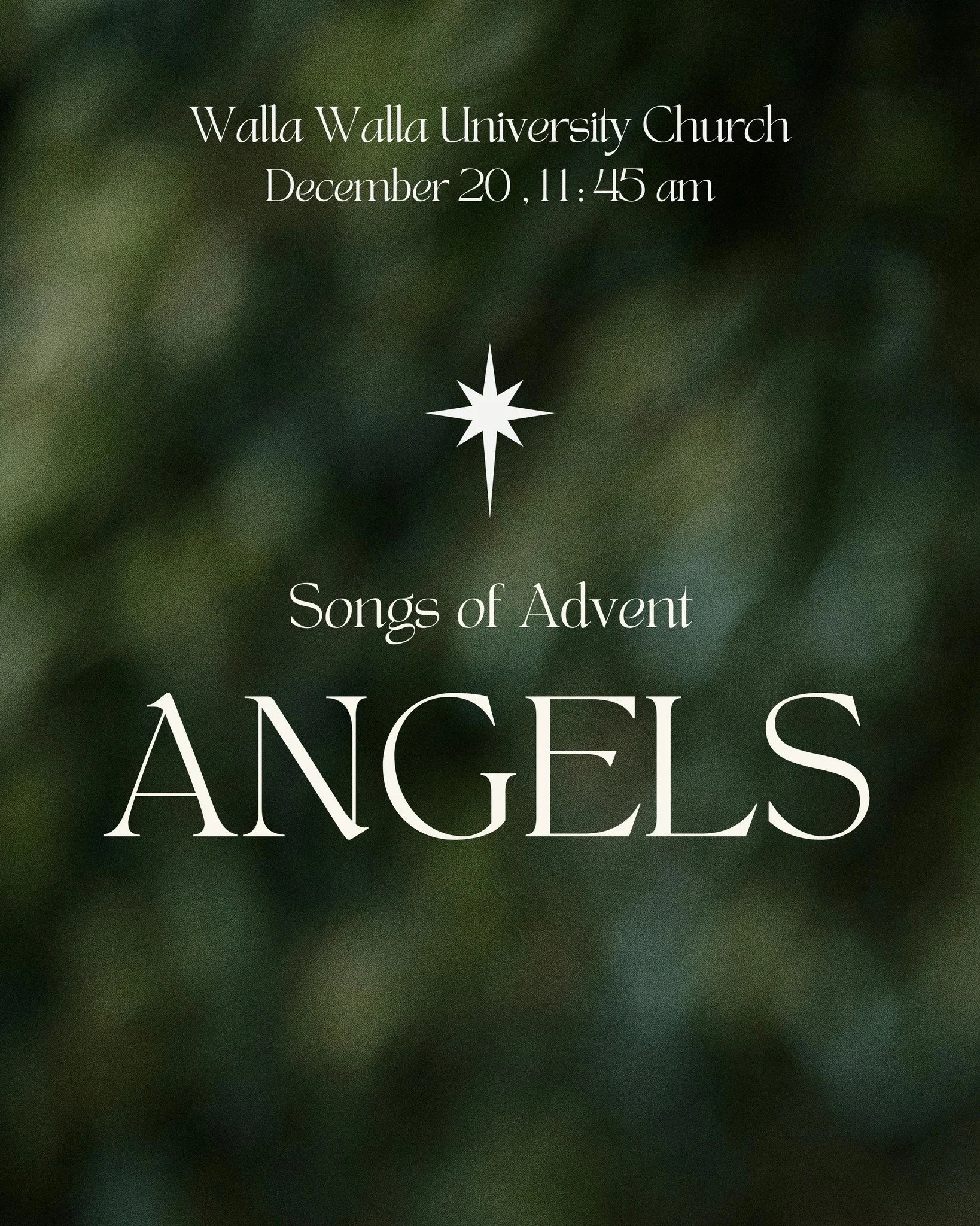 Join us this Sabbath as we gather for Songs of Advent: Angels ✨
A service filled with music, reflection, and hope as we prepare our hearts this Advent season.