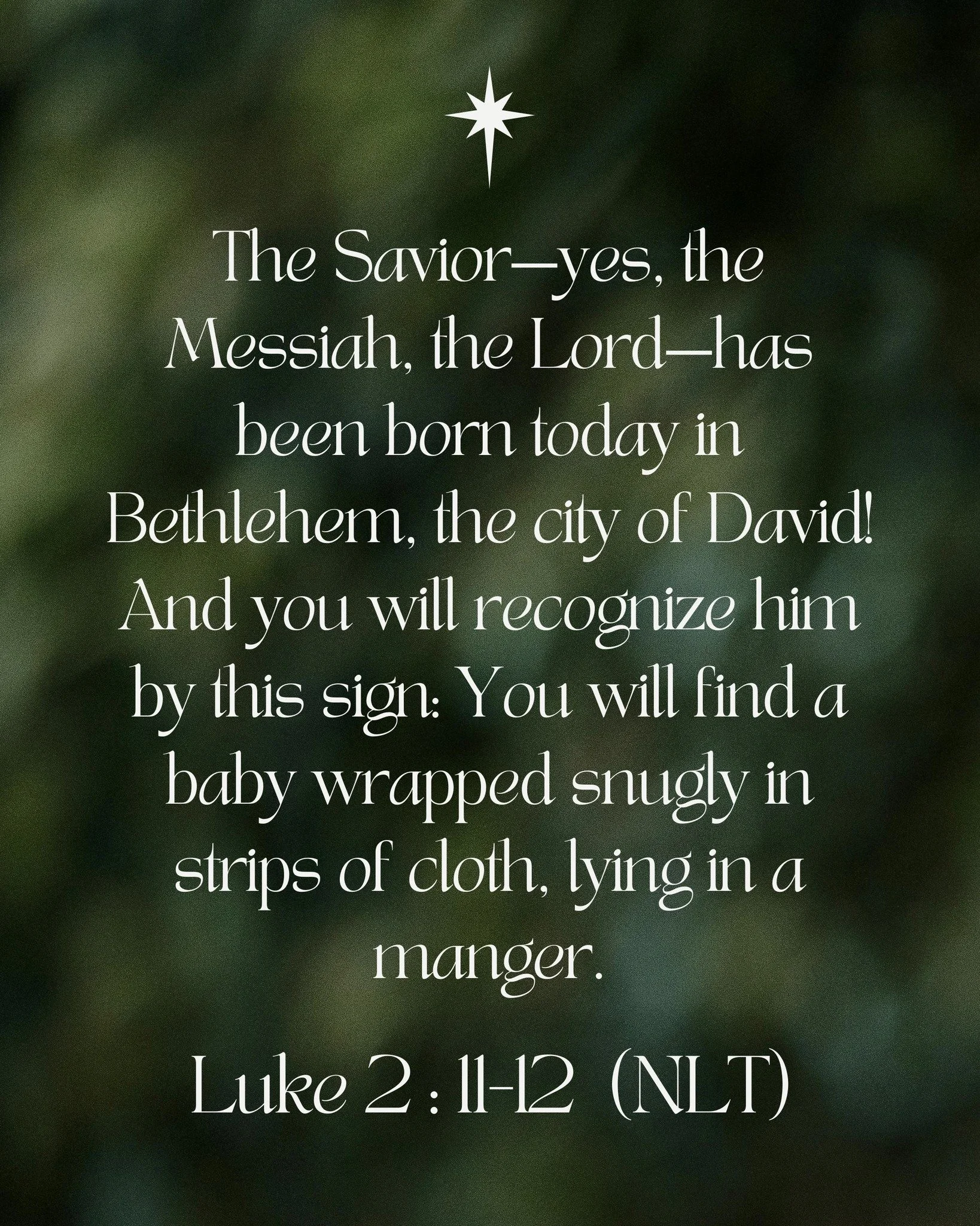 The Savior&mdash;yes, the Messiah, the Lord&mdash;has been born today in Bethlehem, the city of David! And you will recognize him by this sign: You will find a baby wrapped snugly in strips of cloth, lying in a manger.

- Luke 2:11-12 (NLT) 📖