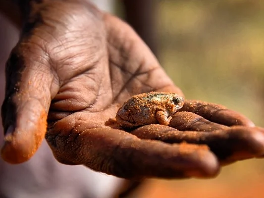 hand.jpg