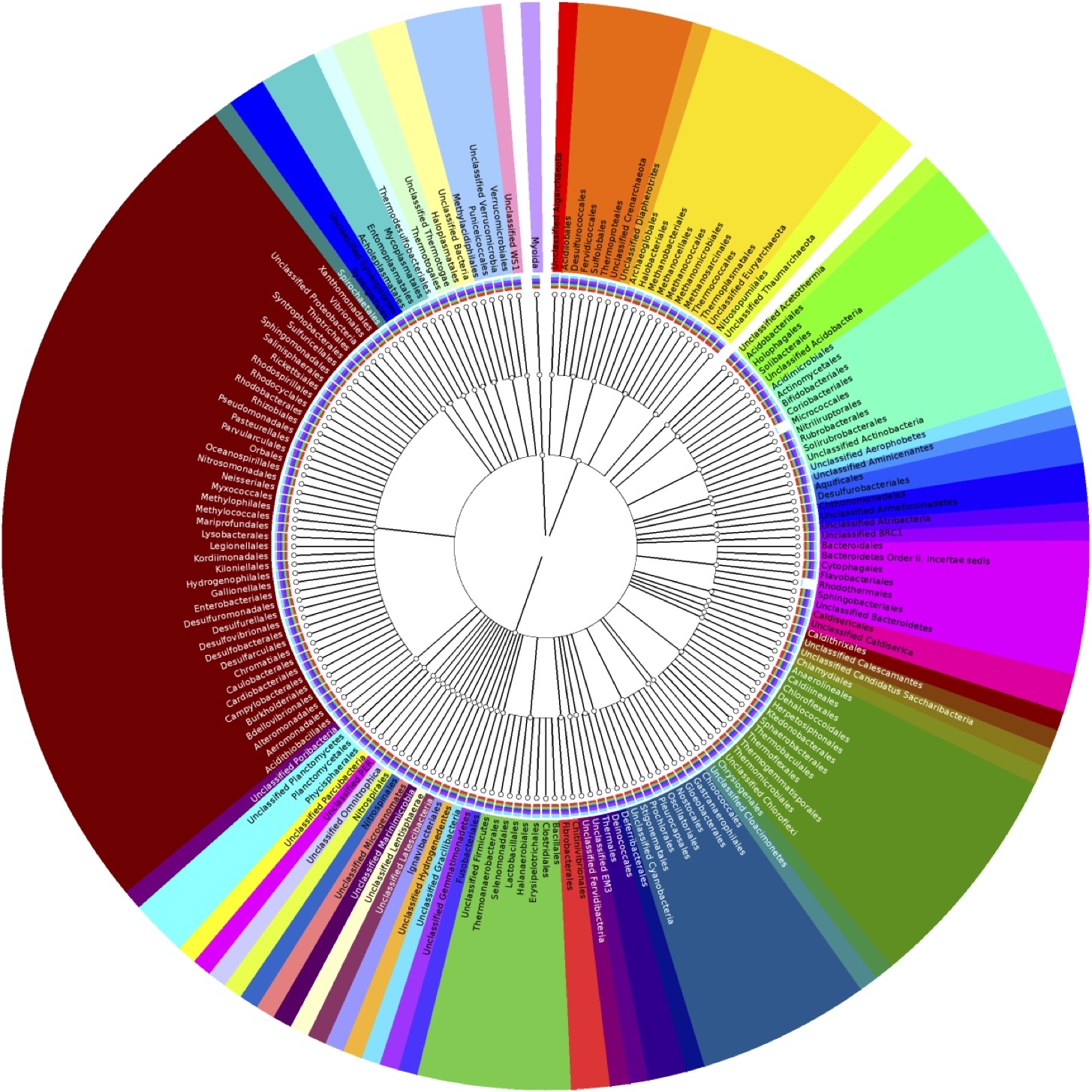 Microbial Community Composition