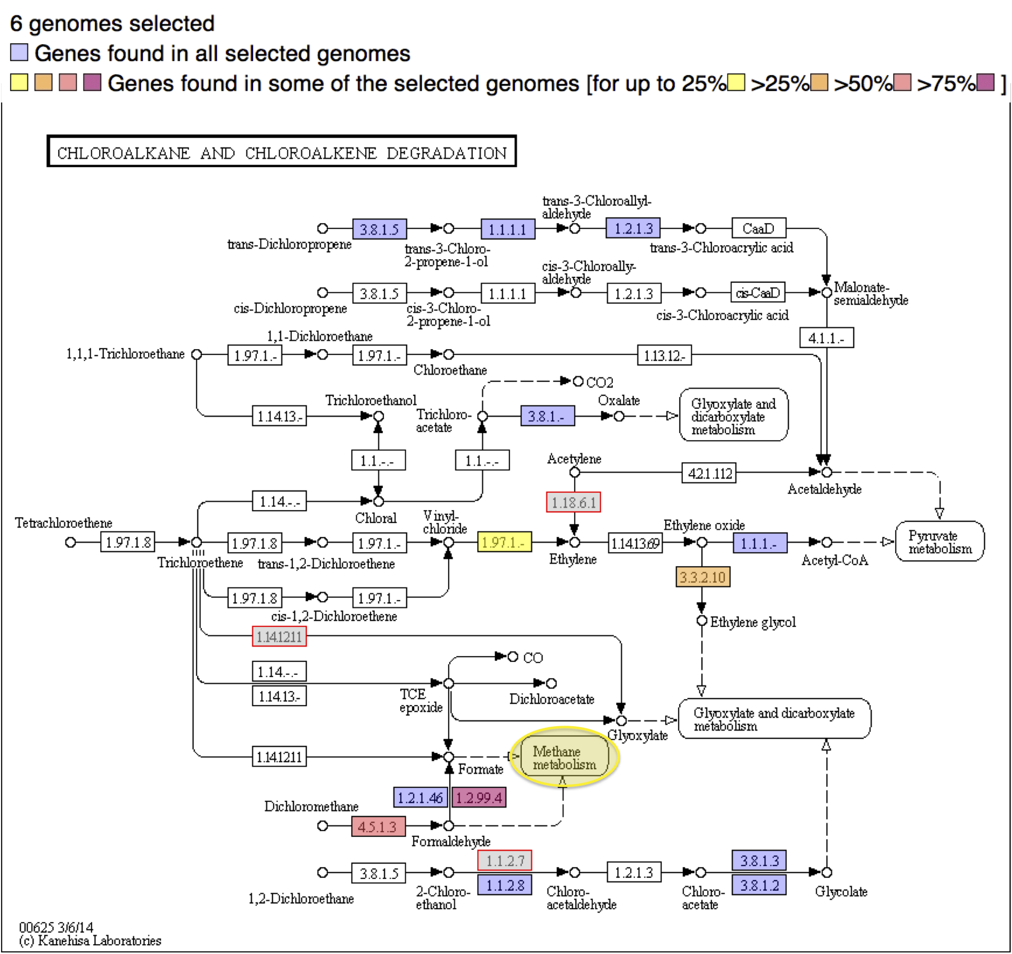 Metabolic Pathway Maps