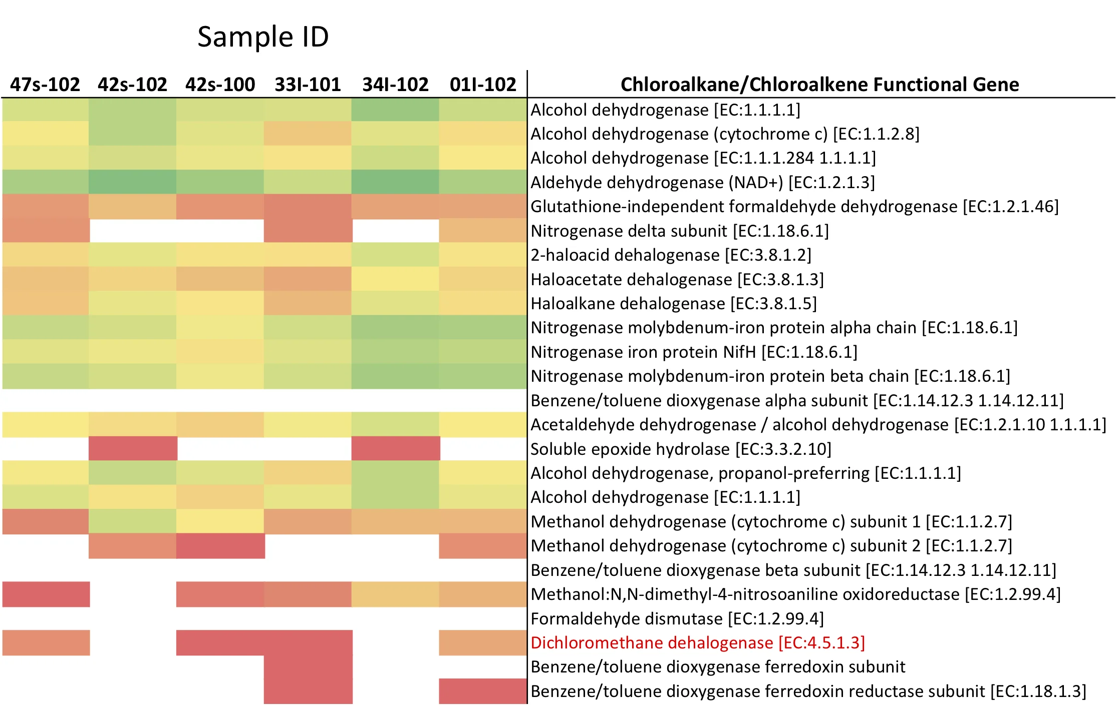 Functional pathway heatmaps