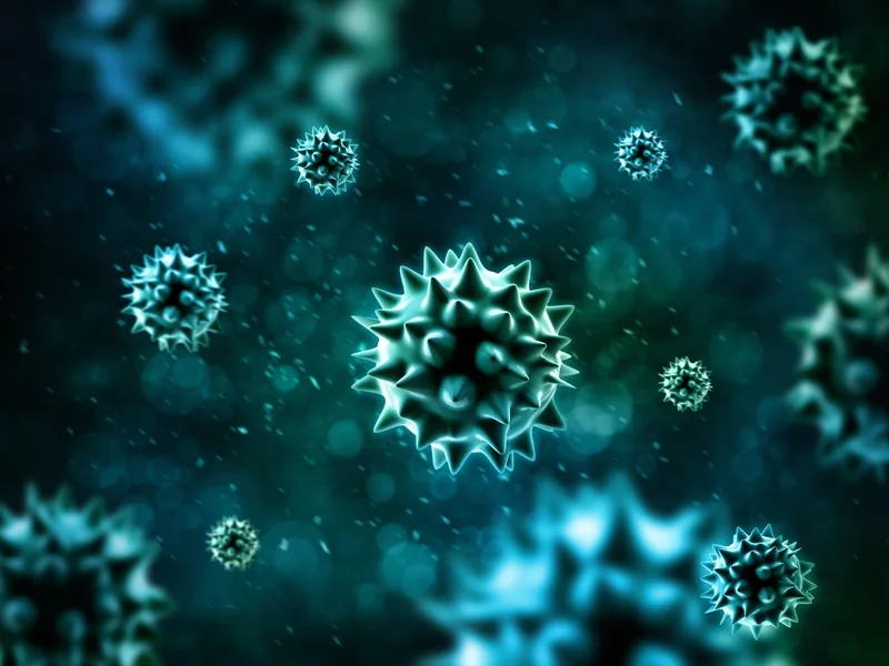 Fotolia_75302276_S.jpg