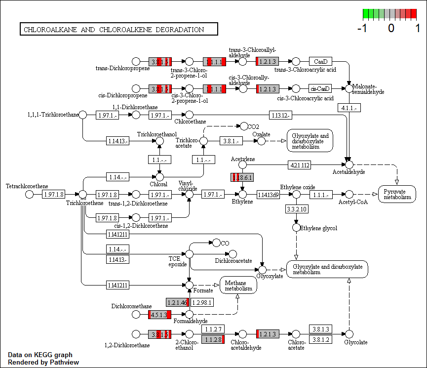 ko00625.pathview.multi.png