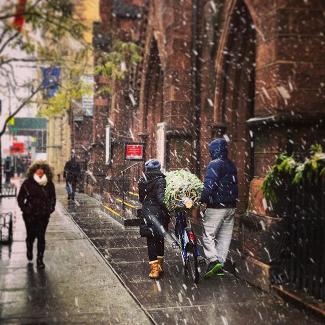 First snow! Grabbing the tree with some help by citibike. •
•
•
•
• #nyc #nicenewyorker #ilovenewyork #ilovenyc #christmastree #tree #manhattan #nyclife #citylife #winterwonderland #nycwinter #snow #firstsnow