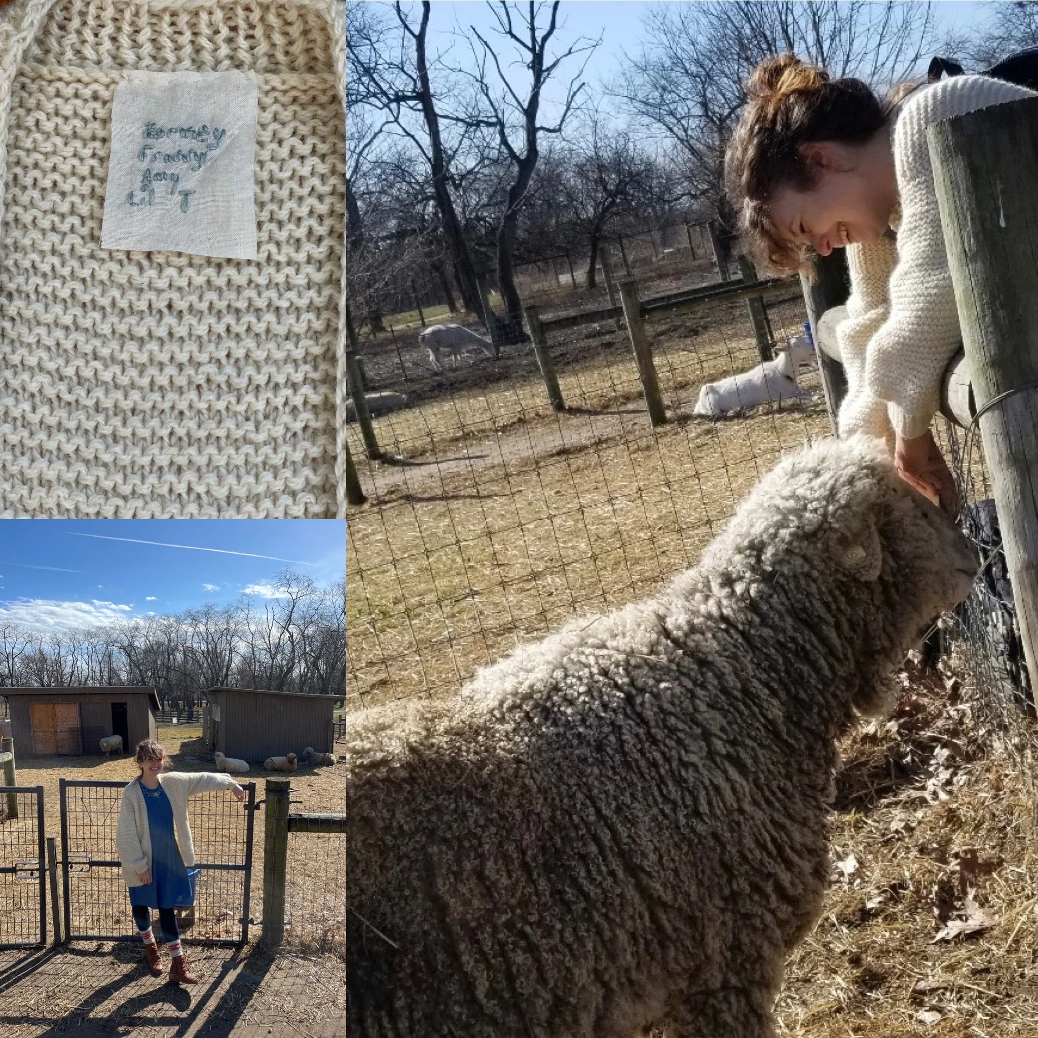 Queen's Farm Sweater.JPG