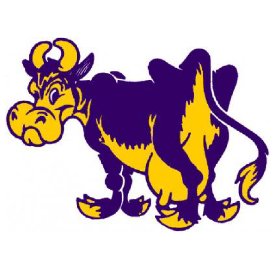 purplecow.jpg