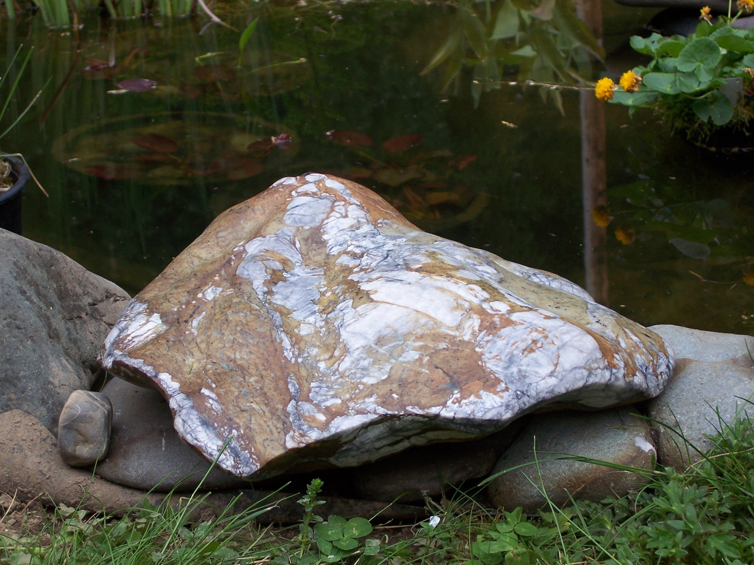 Clamshell