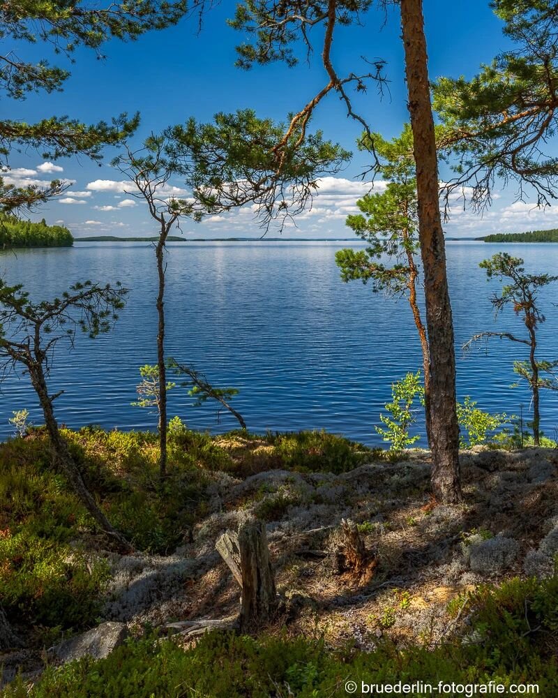 #finishnature #finnlandpower #lakep&auml;ij&auml;nne #lakeoffinland #trees #islands #lakeview #summertime #bluesky