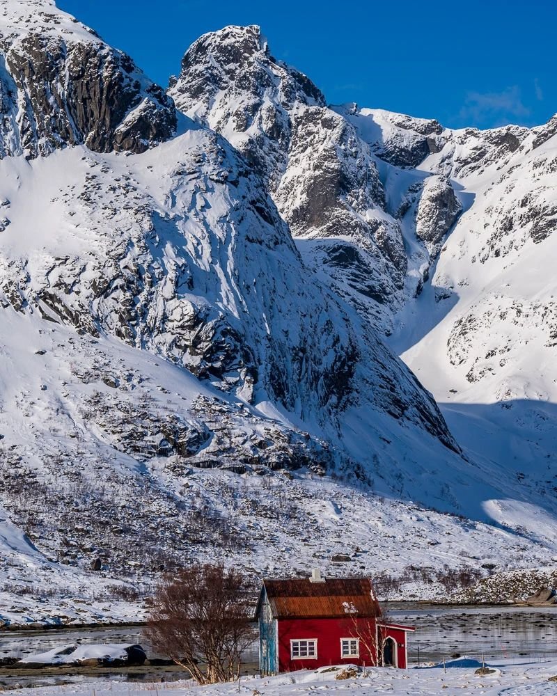 @visit_lofoten norway #mountains #landscaoephotography #redhouse #trees #snow