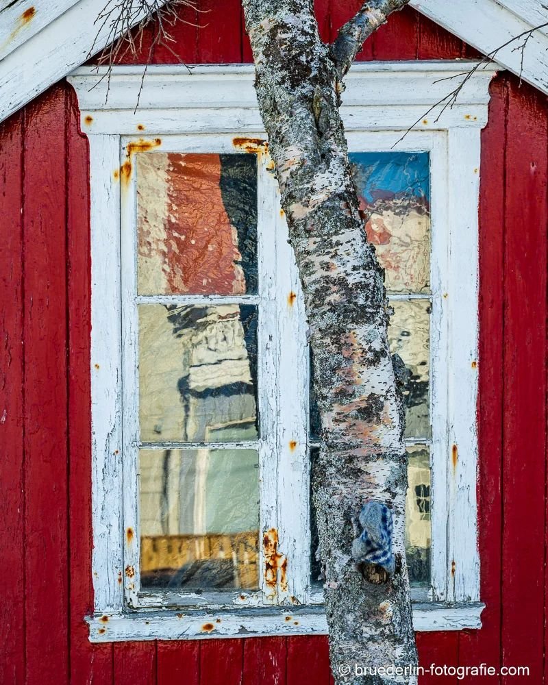 #norway #lofoten #village  #oldhouse #tree #redhouse #window #mirroring #redcolor #white