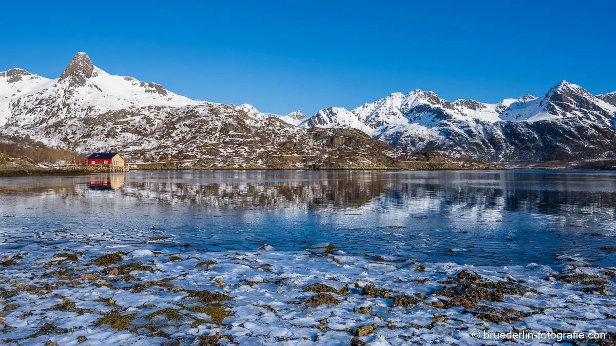 #norwaynature #lofotenhighlights #fjordlandscape #icelandscape #mountains #cottage #mirroring #snow
#bluesky #bluecolor