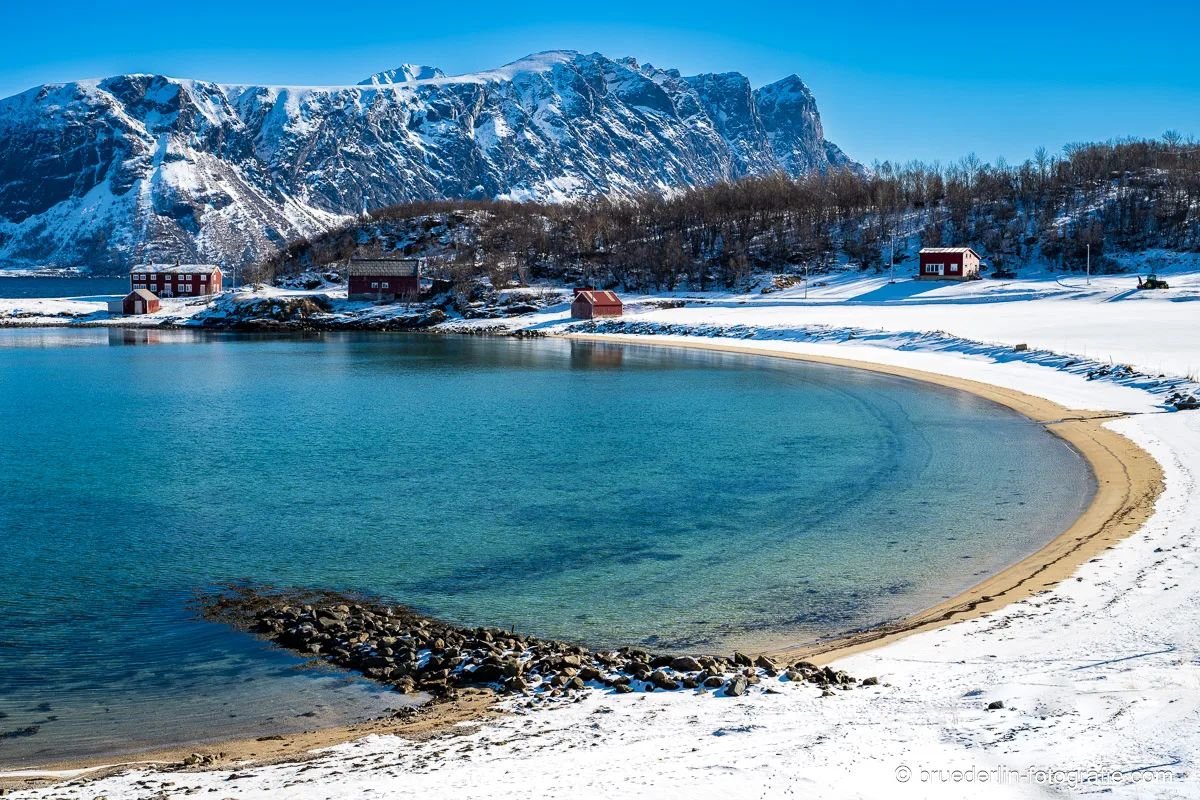 #northernnorway #lofoten #fjordlandscape #beach #snowandice #sand #mountains #farmhouse #redhouse #water