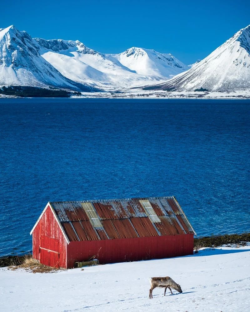 #lofotenhighlights #landscapelovers #norway🇳🇴 #norwaynature #mountains #snowandice #fjordlandscape #rendears #redhouse #farmhouse #snowandice