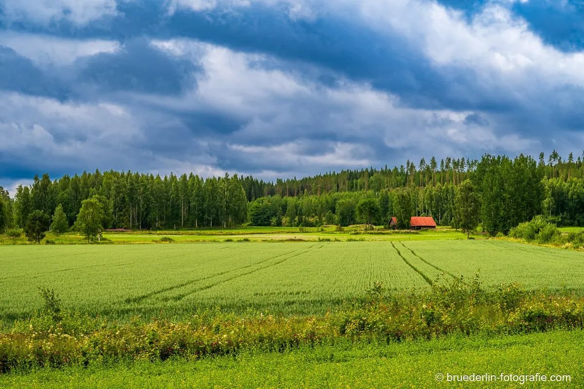 #discoverfinland #discoverearth #landscapephotography #finlandpower #virmailansaari #virmaila #colorpower #greencolor #redcolor #cloudpower #forestphotography #forest #field